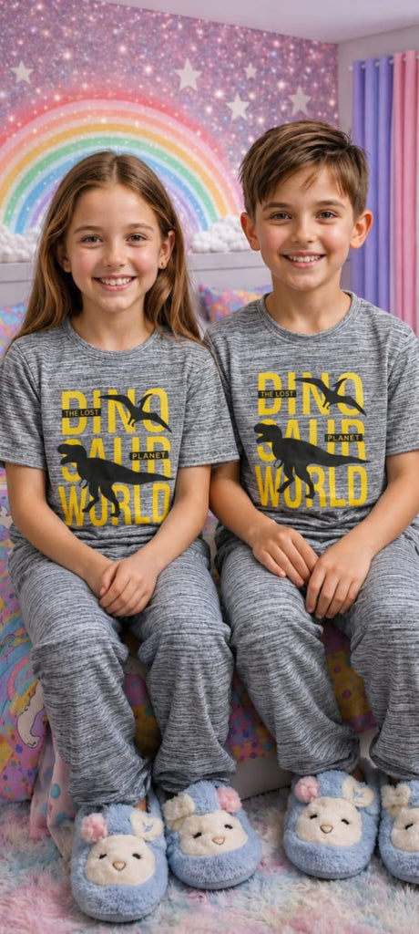 Light Grey Graphical Dinosaur  Pajama Set